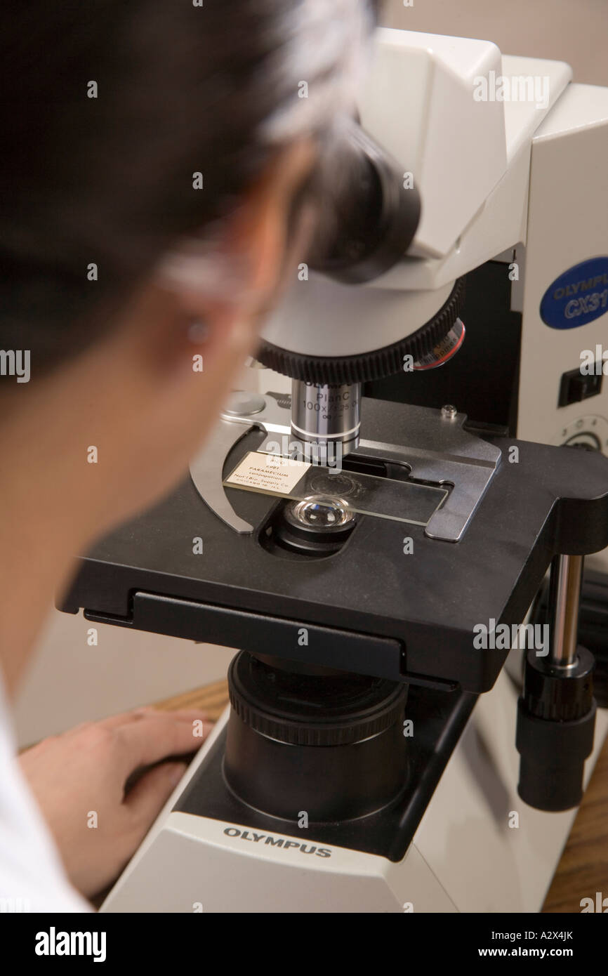 Lab technician  uses a microscope. Stock Photo