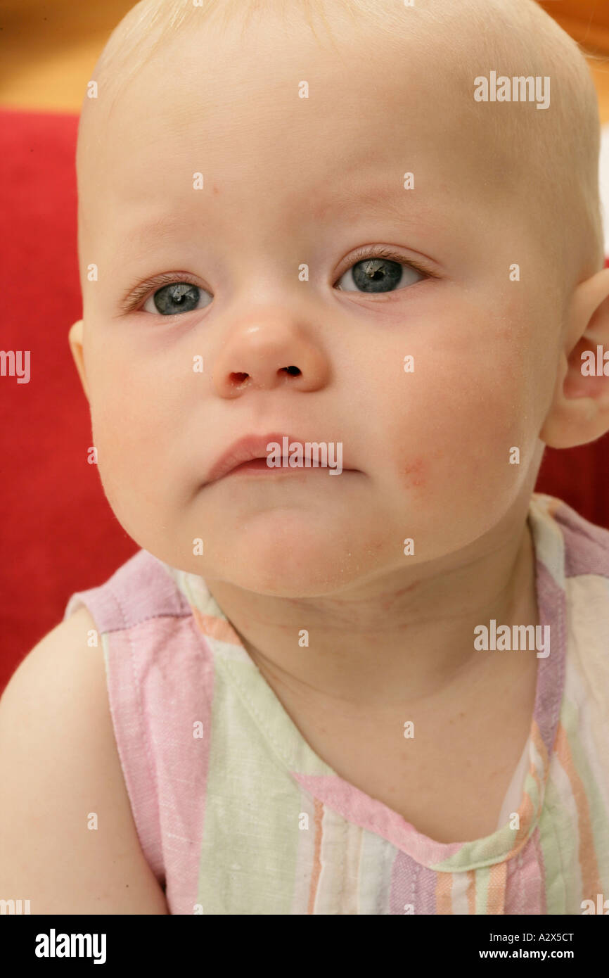 Portrait of eight month old baby girl with big cheeks. Stock Photo