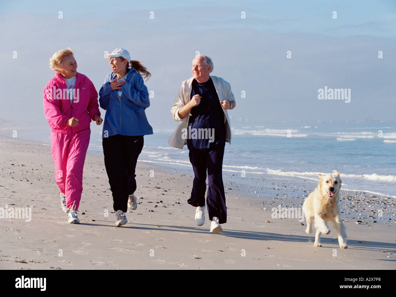 Adult group of three people with their dog running along a beach. Stock Photo