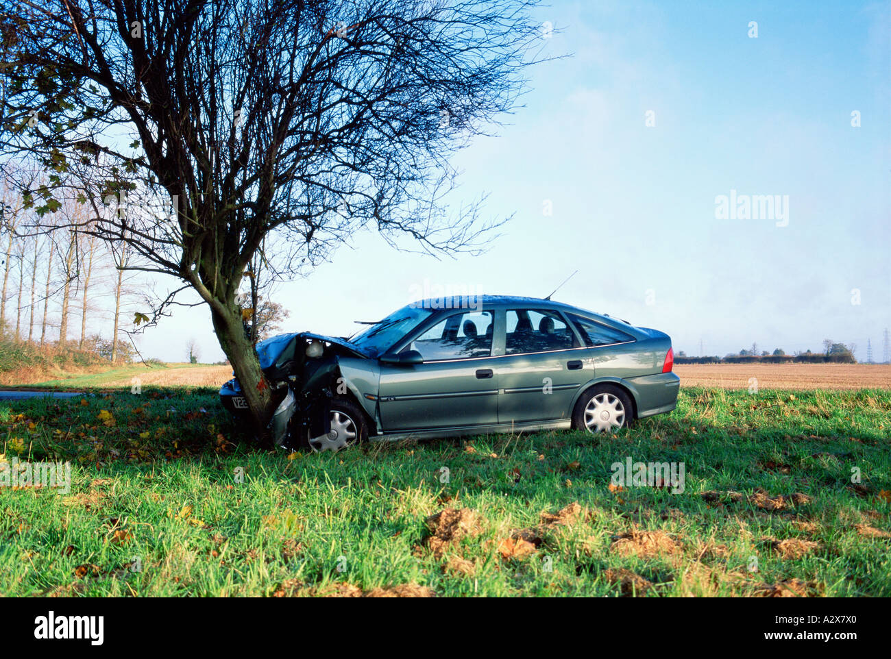 Road accident. Car wreck on hitting tree. Stock Photo