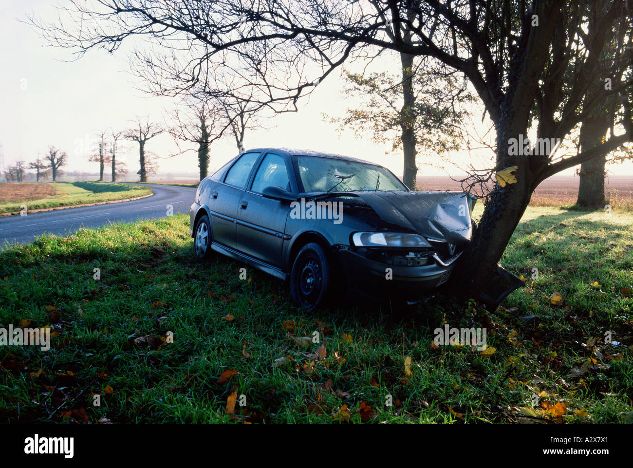 Road accident. Car wreck on hitting tree. Stock Photo