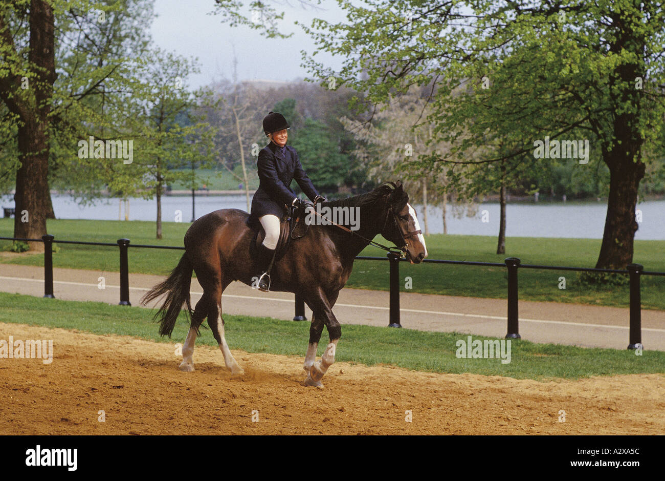 Horse Riding Hyde Park London Stock Photo Alamy