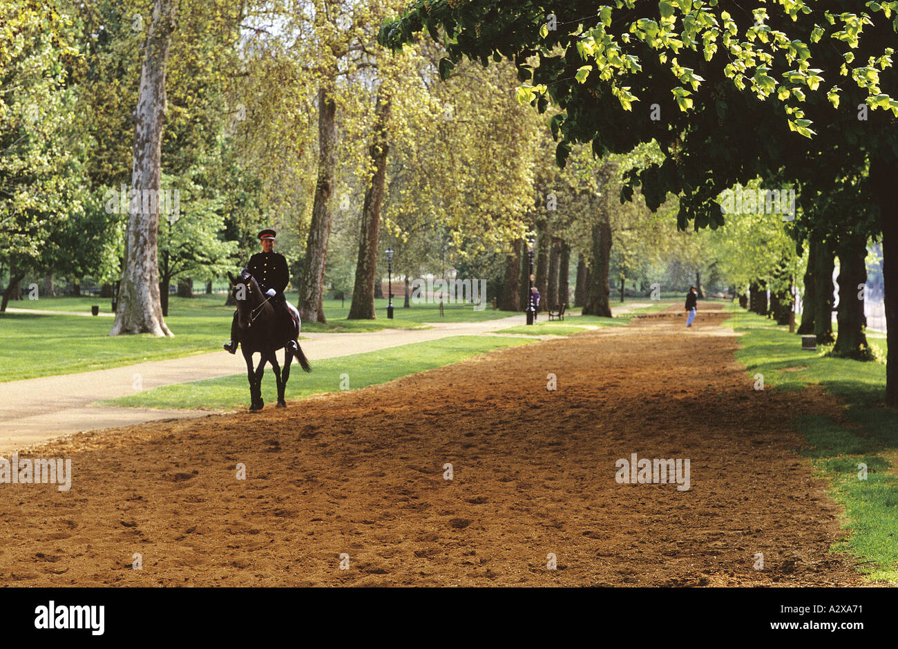 Member of the Household Cavalry riding in Rotten Row Hyde Park Stock Photo
