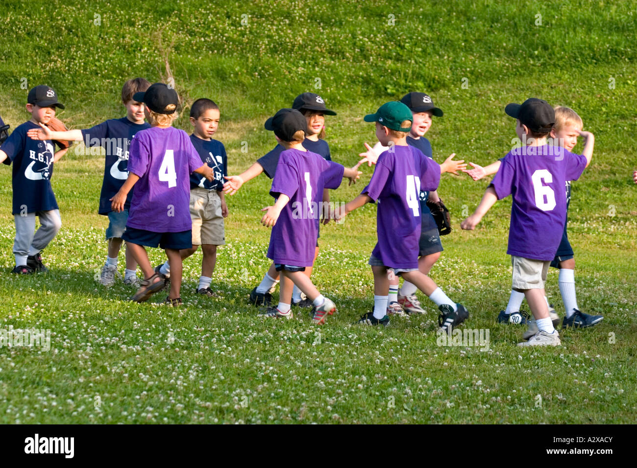 Baseball team giving congratulatory high fives after the game age 5. St