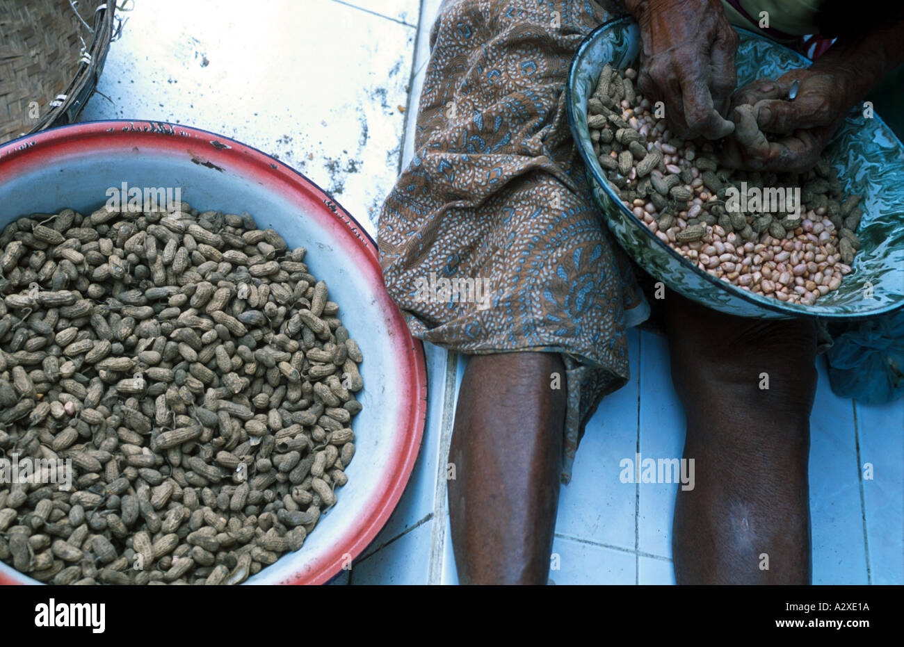 INDONESIA SHELLING PEANUTS IN A VILLAGE IN EAST JAVA Photograph by Julio Etchart Stock Photo