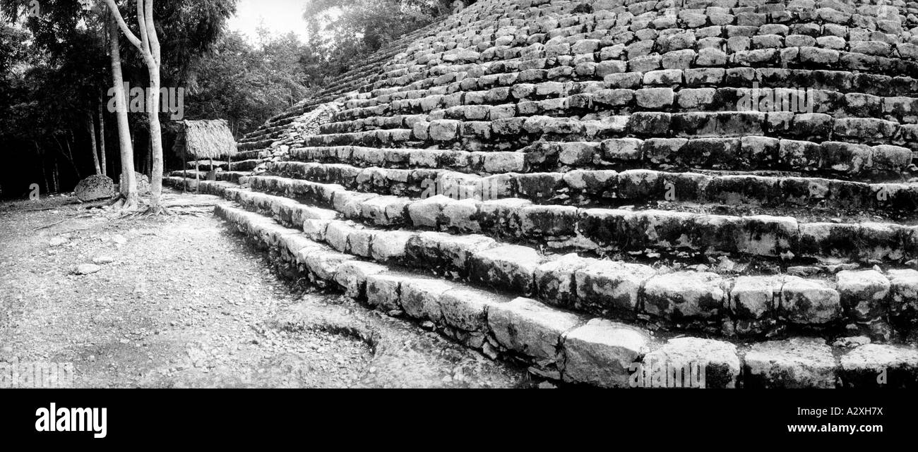 A black and white image of the Coba Ruins in Mexico Stock Photo