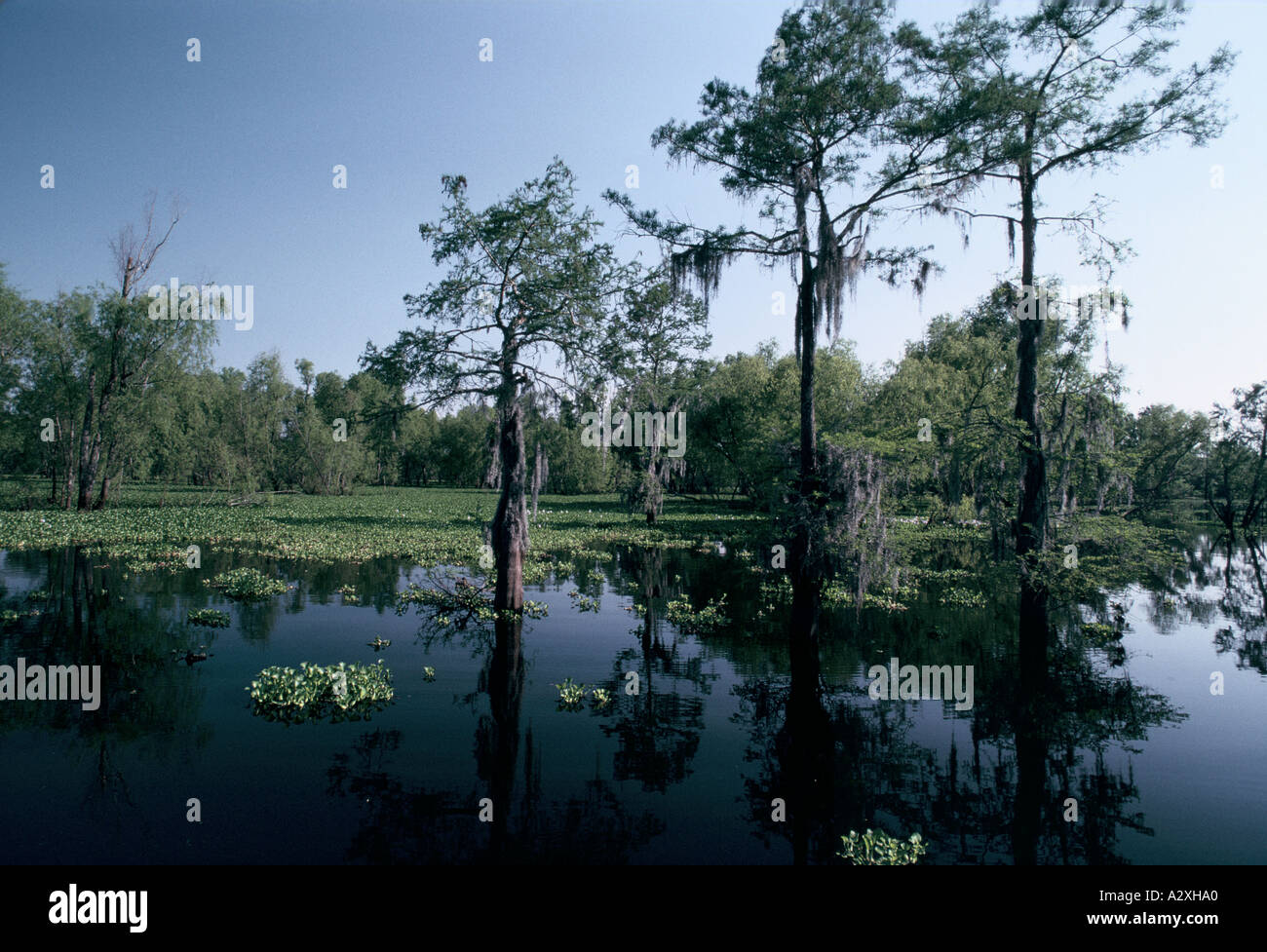 Baton rouge hi-res stock photography and images - Alamy
