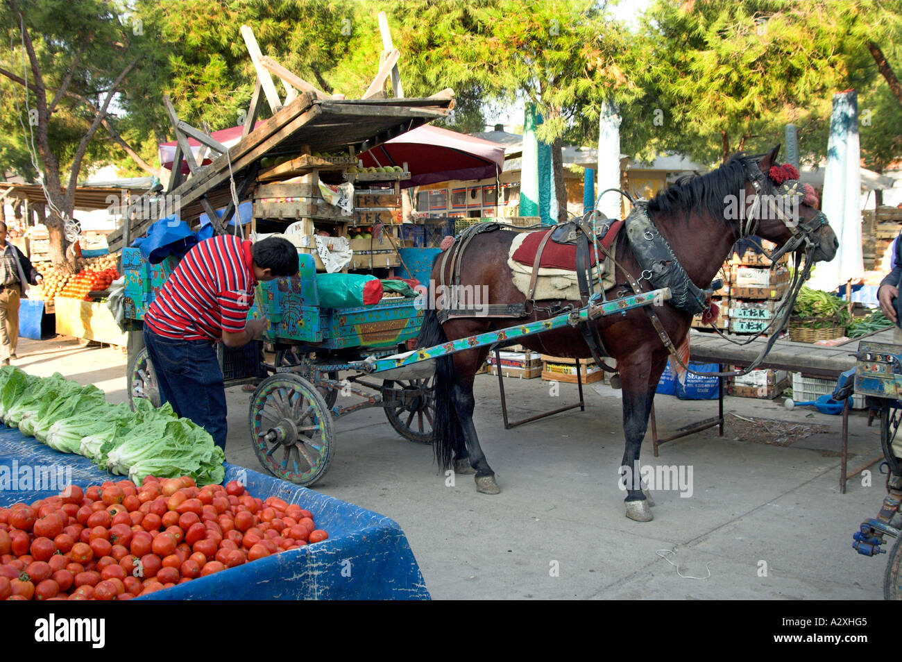 Horse and cart hires stock photography and images Alamy