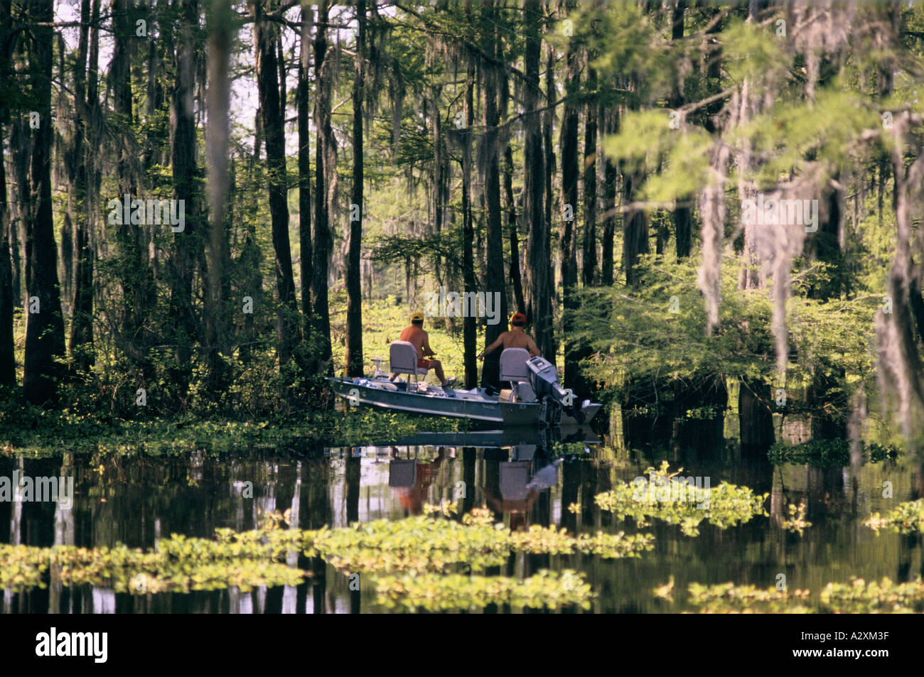 Louisiana bayou boat hi-res stock photography and images - Alamy