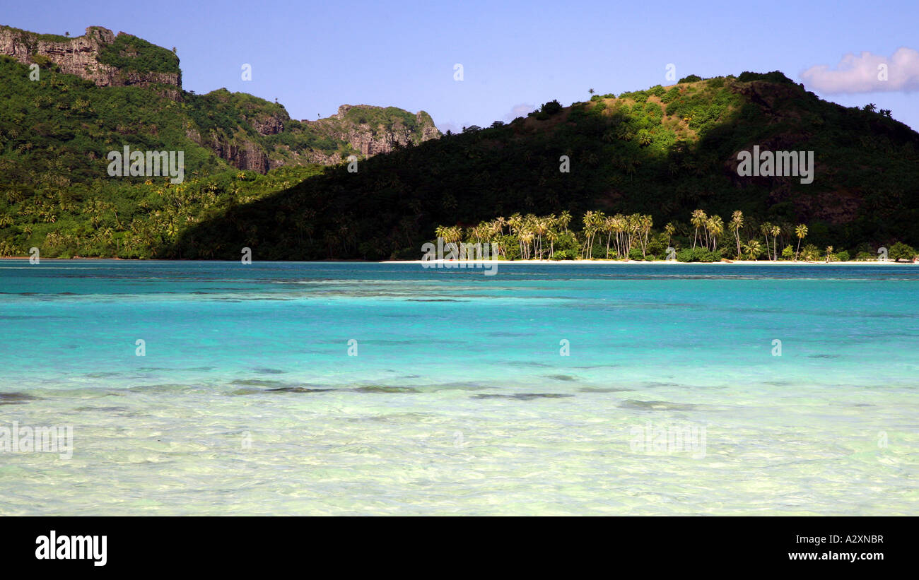 Maupiti Island French Polynesia with sunlit palms Stock Photo - Alamy