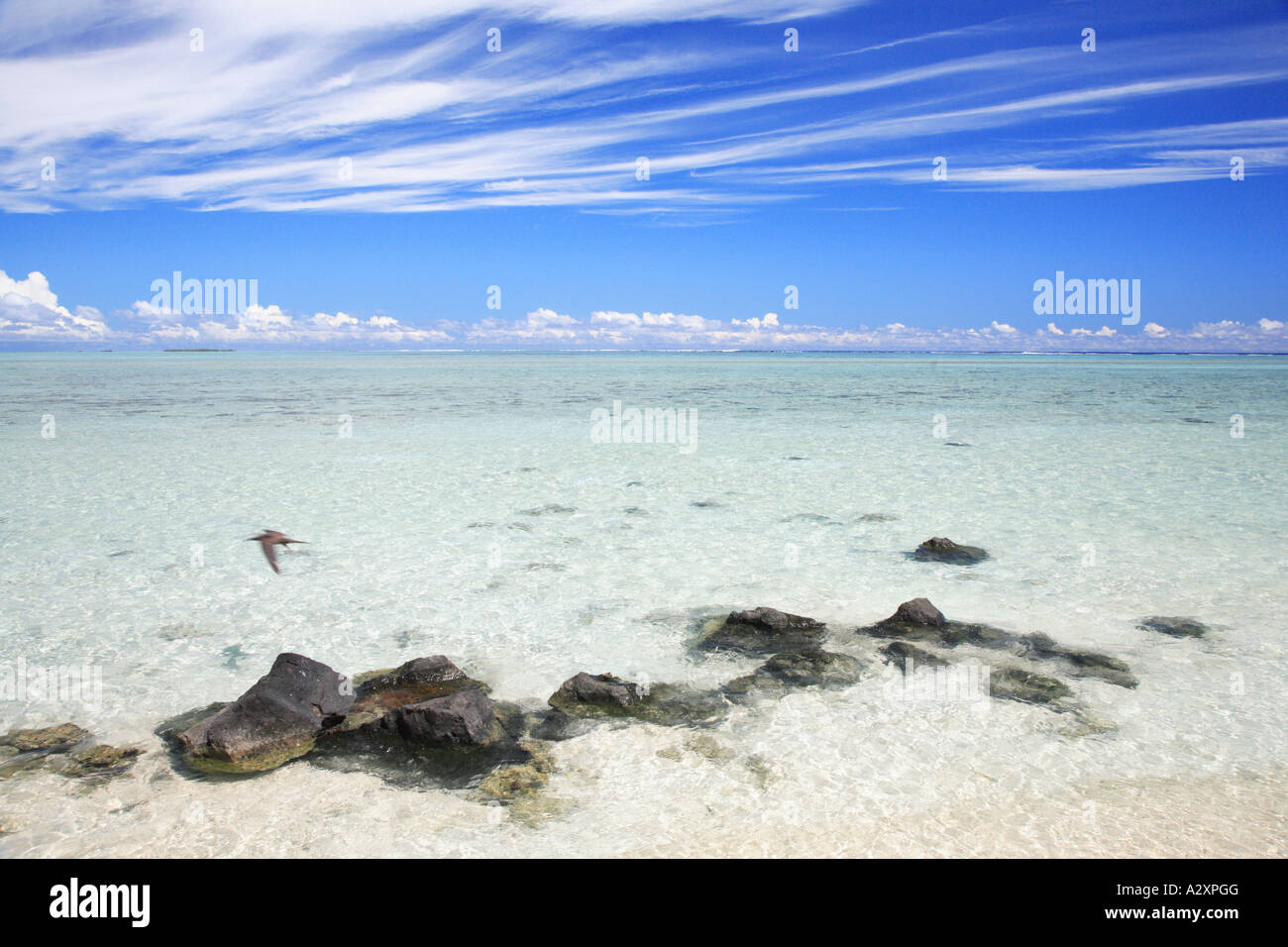 Rocks on beach Raratonga Cook islands Polynesia Pacific Stock Photo