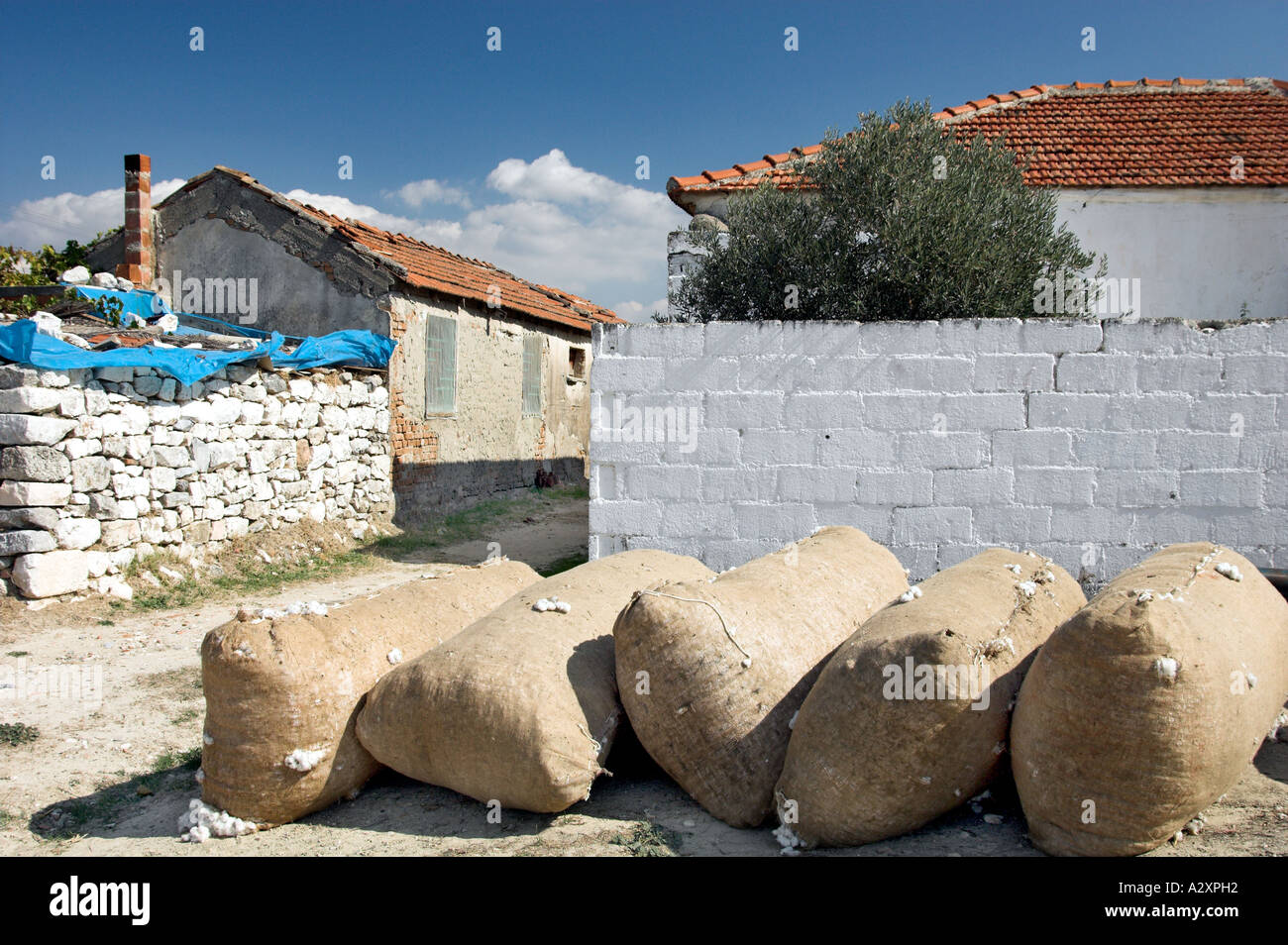 Sacks of cotton in Turkish village near Miletus. Stock Photo