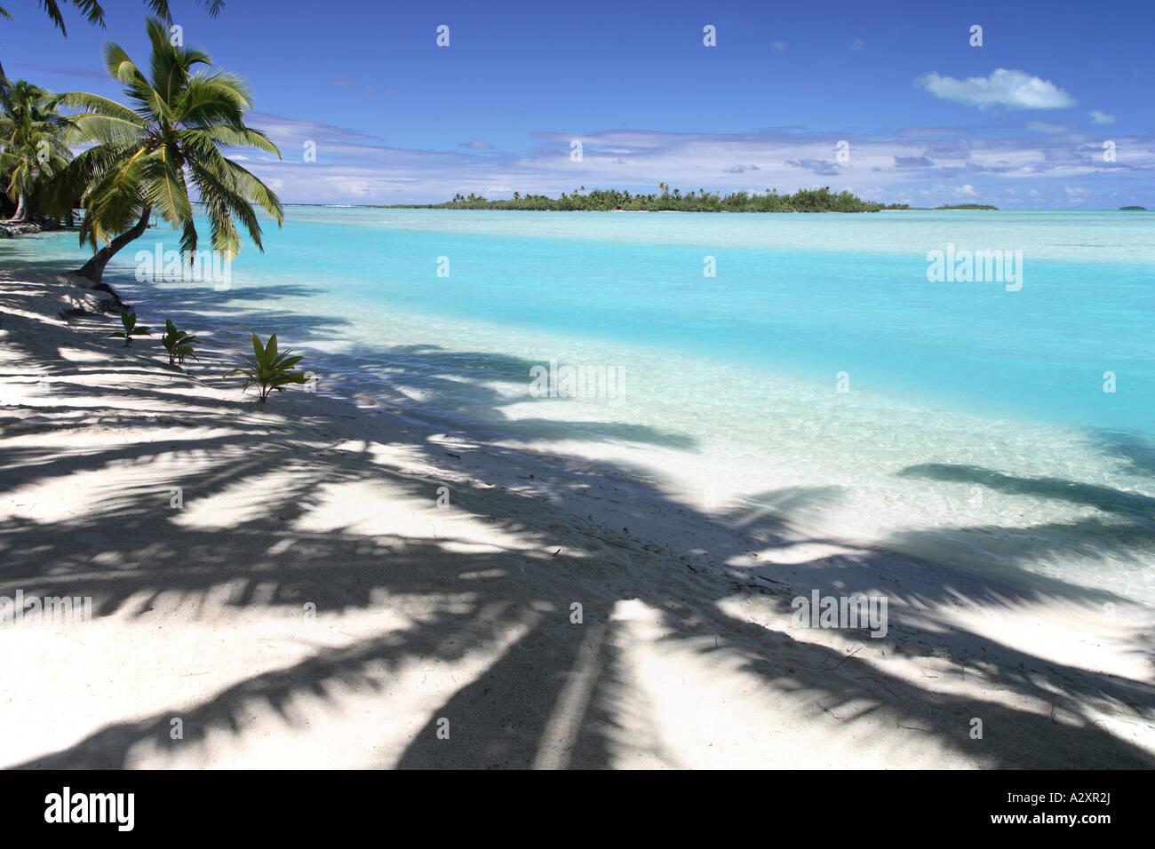 Palm shadows on beach Aitutaki Cook islands Polynesia Stock Photo