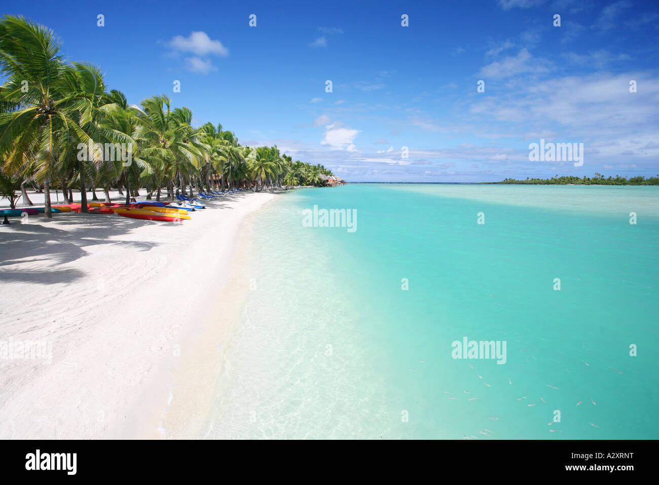 Palm tree lined beach Aitutaki Cook islands Polynesia Stock Photo