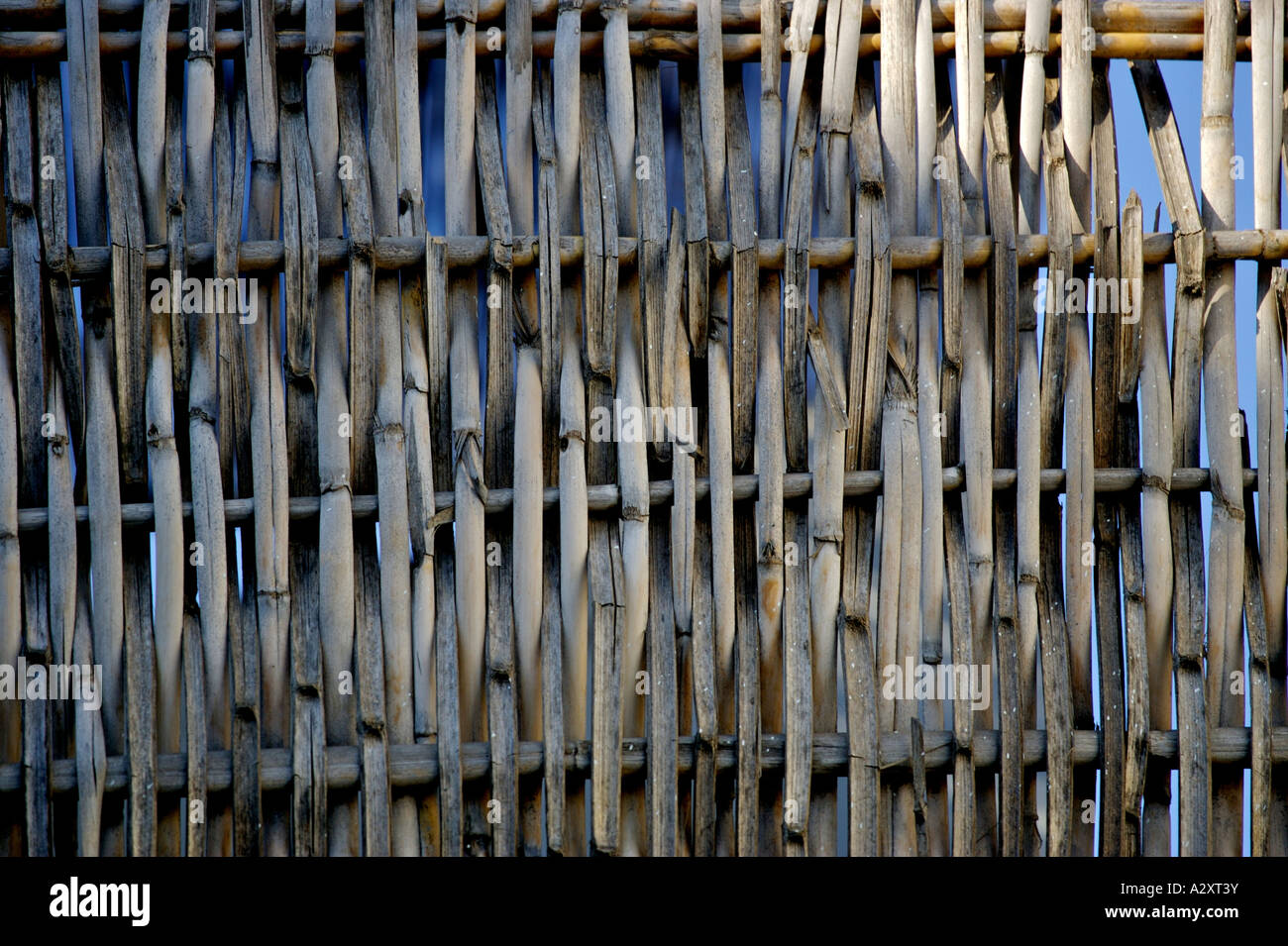 Cane Sborate Cane and line hi-res stock photography and images - Alamy