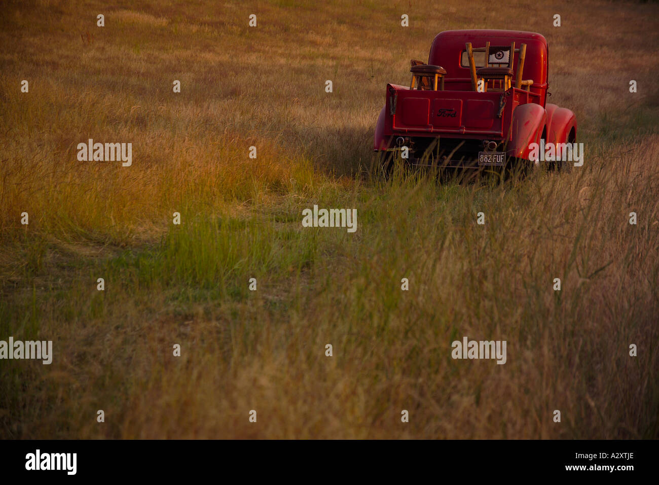 Red Vintage Ford Pick Up Truck Driving In Field Transport