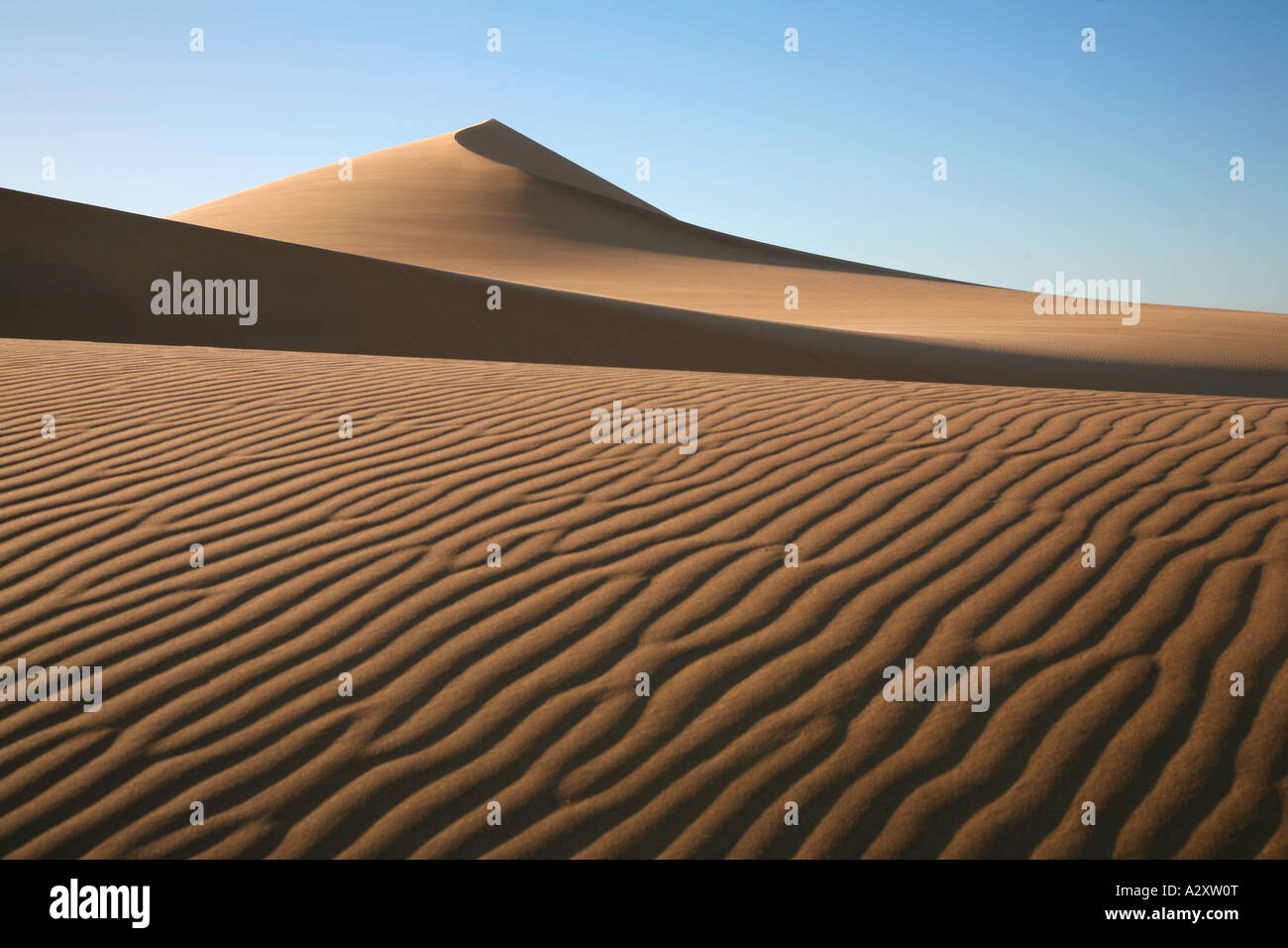 Missing dunes hi-res stock photography and images - Alamy