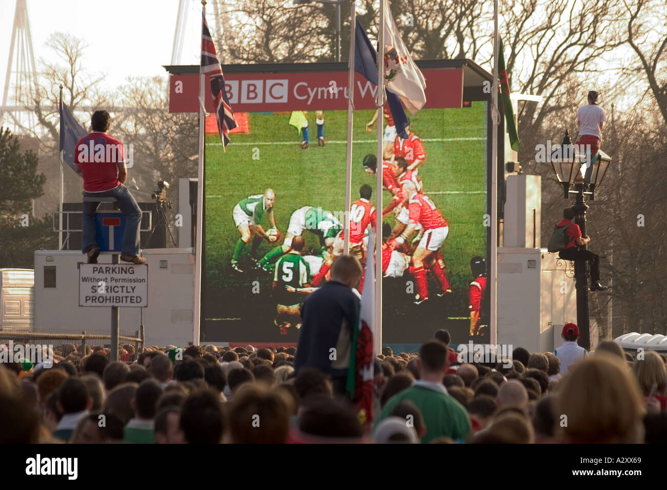 Spectator Watching Rugby Match Fans watching match outside Cardiff City Hall Wales versus Ireland ...