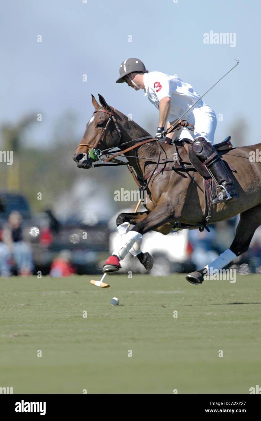 Palm beach polo club hires stock photography and images Alamy