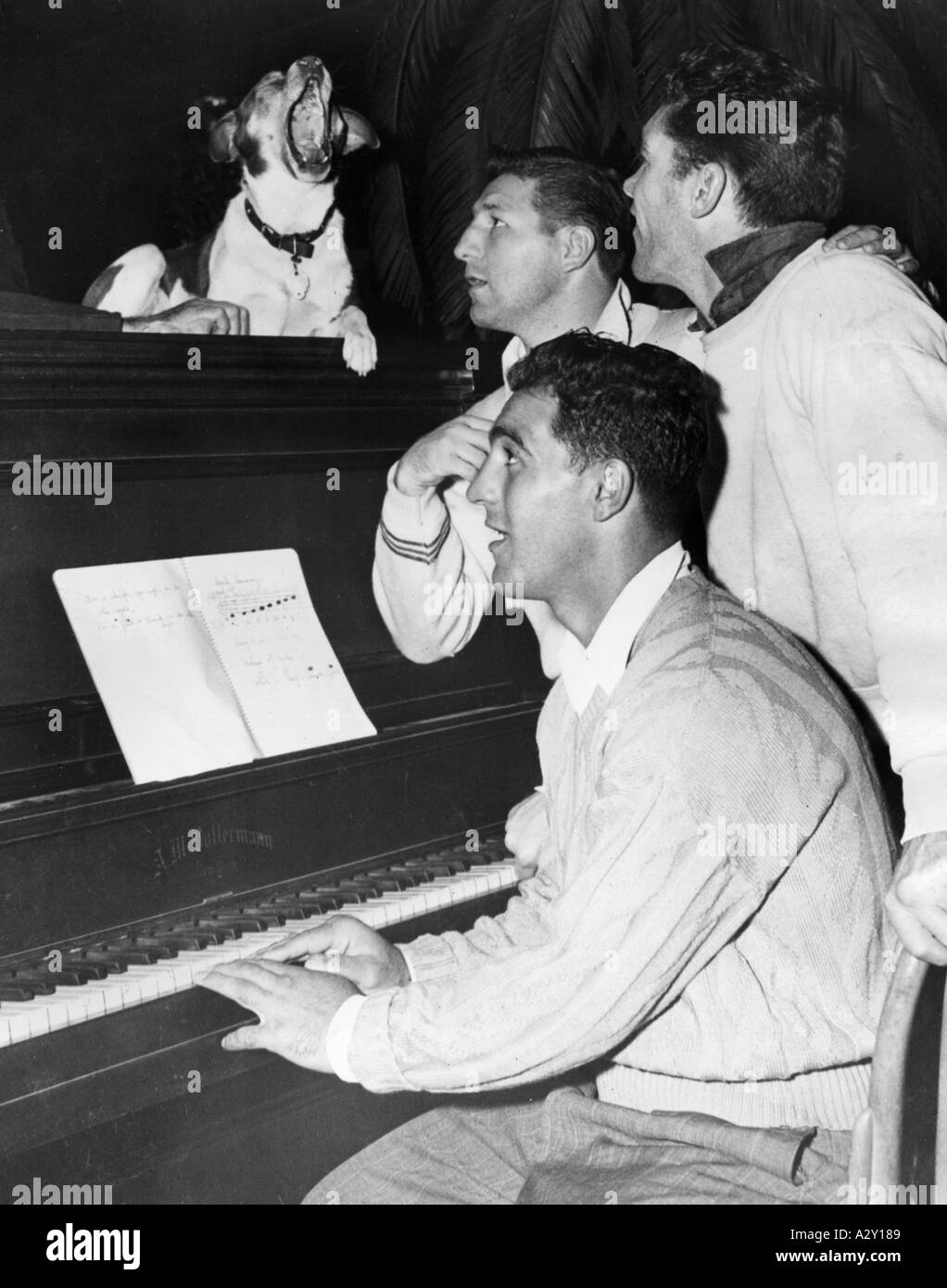 In 1951 American boxer Rocky Marciano tried out his musical abilities A year later his victory over Jersey Walcott made him heavyweight champion of the world Undefeated from then on he showed himself to be a hard hitting rather than sophisticated fighter Der amerikanische Boxer Rocky Marciano versucht sich 1951 als musischer Schoengeist Ein Jahr spaeter wird er mit seinem Sieg ueber Jersey Walcott zum Schwergewichts Weltmeister erweist sich jedoch fortan im Ring eher als Schlaeger denn als Filigrantechniker Curious Moments S 490 Stock Photo