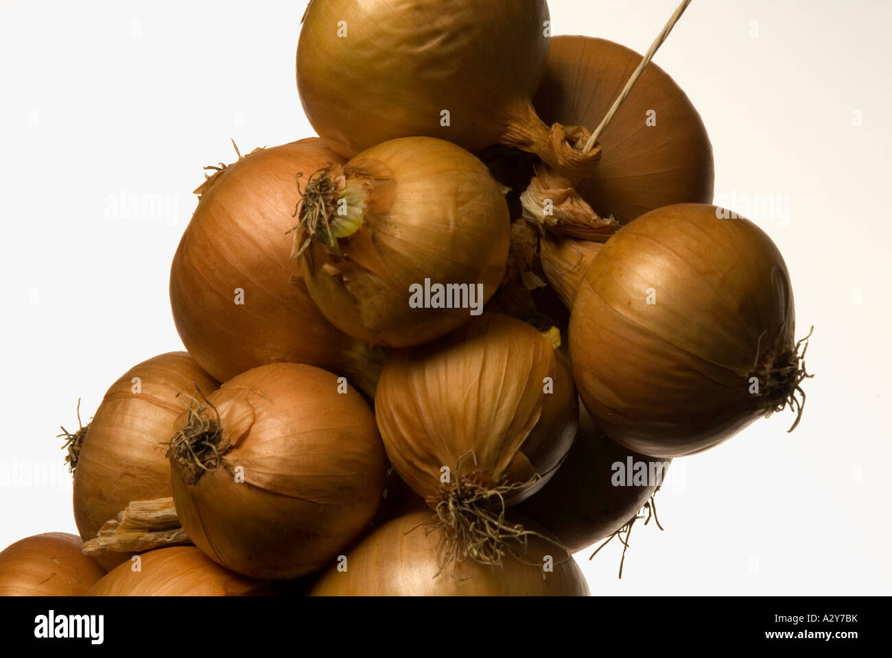 String onions cutout hi-res stock photography and images - Alamy
