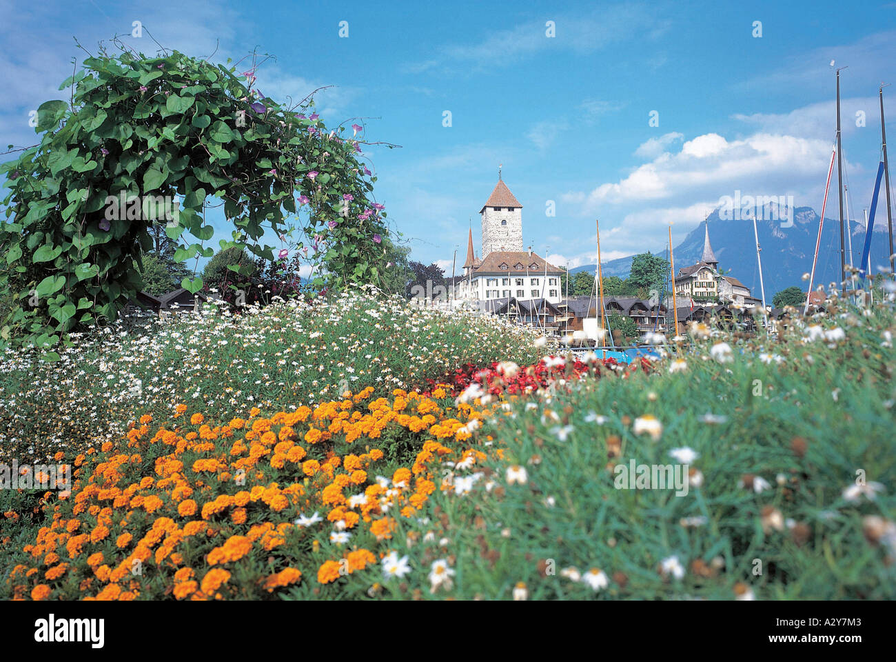 Europescenery hi-res stock photography and images - Alamy