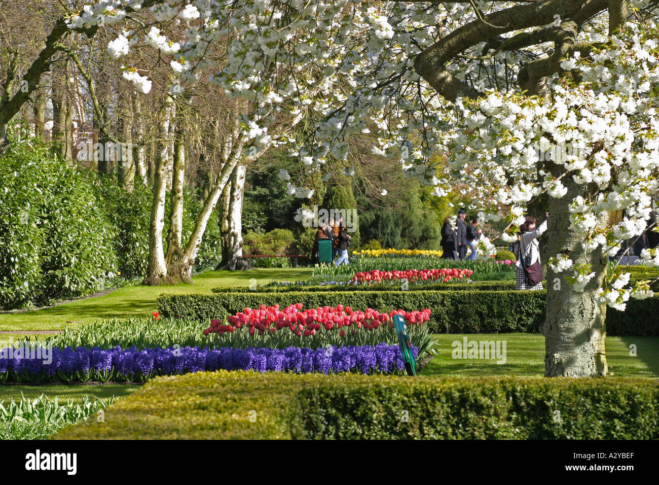 Flower displays in Keukenhof Gardens Holland Stock Photo