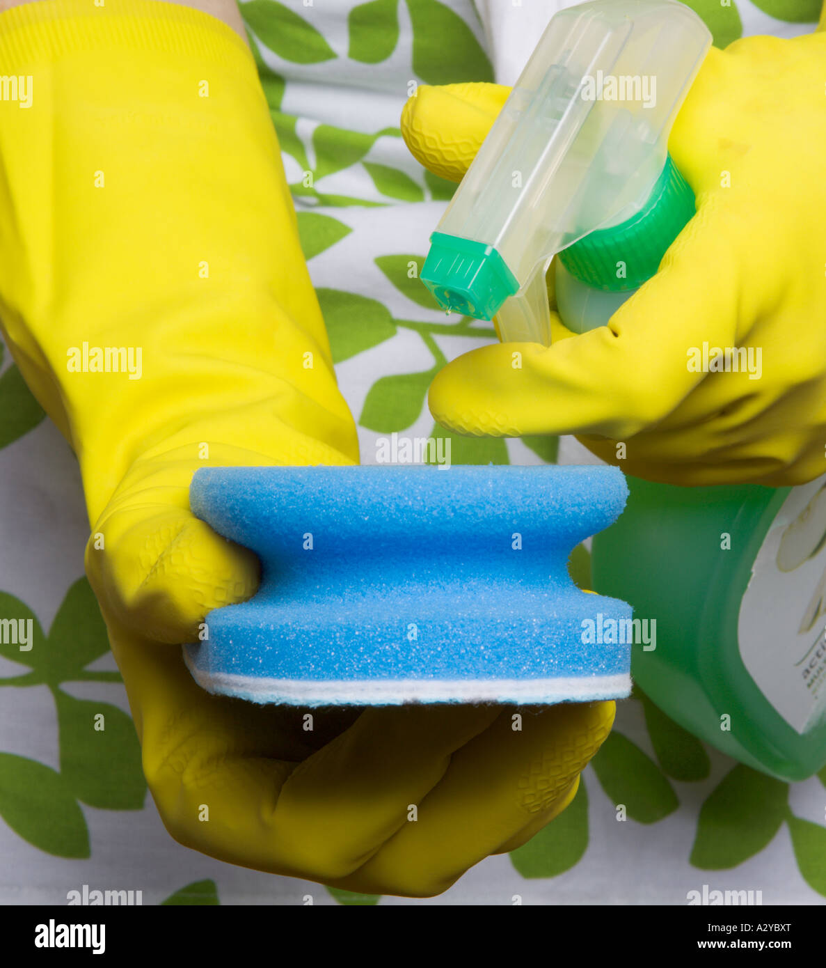 A women wearing yellow rubber gloves sparying a blue sponge with ...