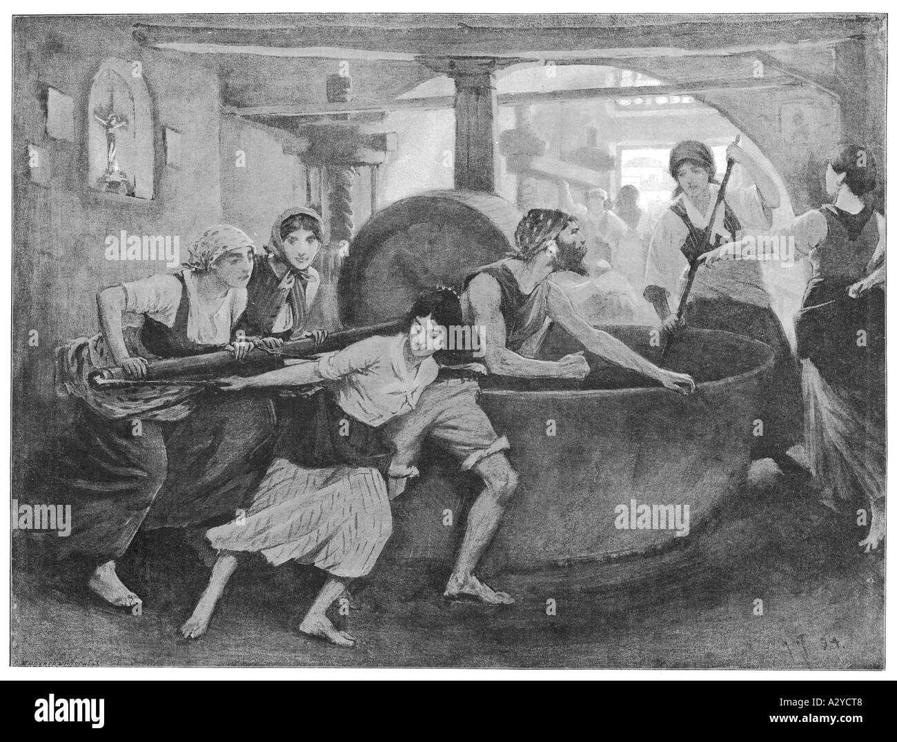 Making Olive Oil Stock Photo Alamy making-olive-oil-stock-photo-alamy