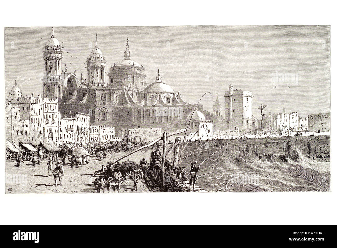 Church Santa cruz cadiz Spain Espana Spanish Espagne Andalusia Andalucia Iberia market waterfront fishing donkey bullock cart Stock Photo