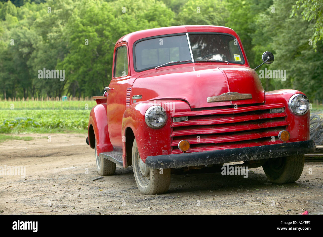 Red 1950 s Chevrolet model 3100 stepside pickup truck along dirt road North Carolina USA Stock Photo