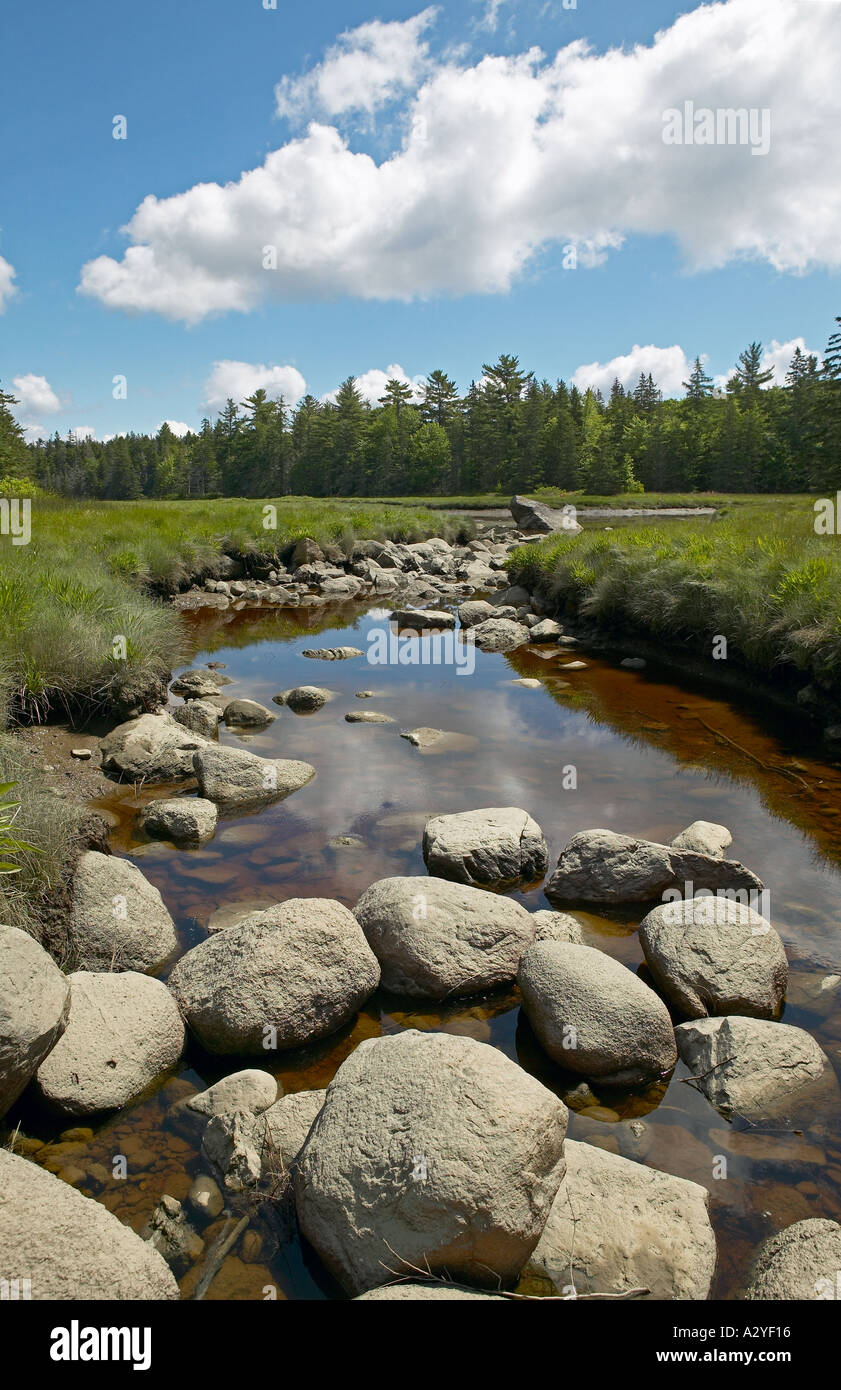 Maine Marsh creek grasses boulders Stock Photo