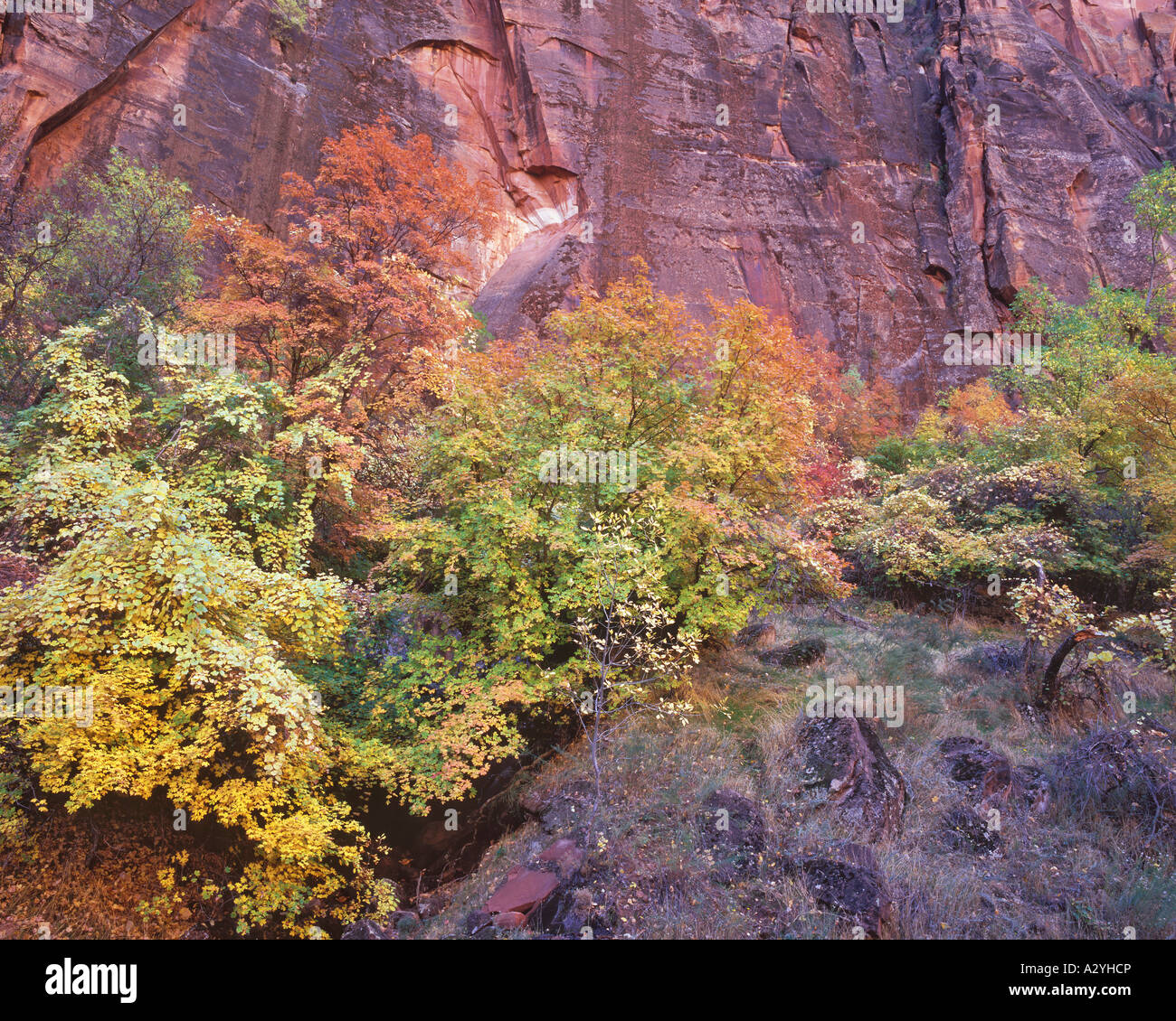 Colorful rocky canyon wall hi-res stock photography and images - Alamy