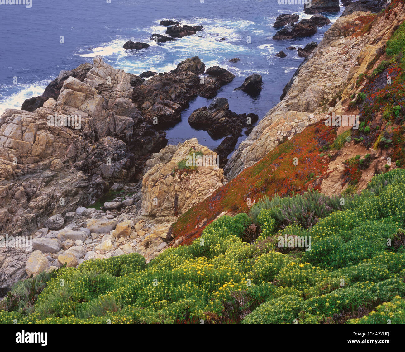 Big Sur coastline in spring Stock Photo