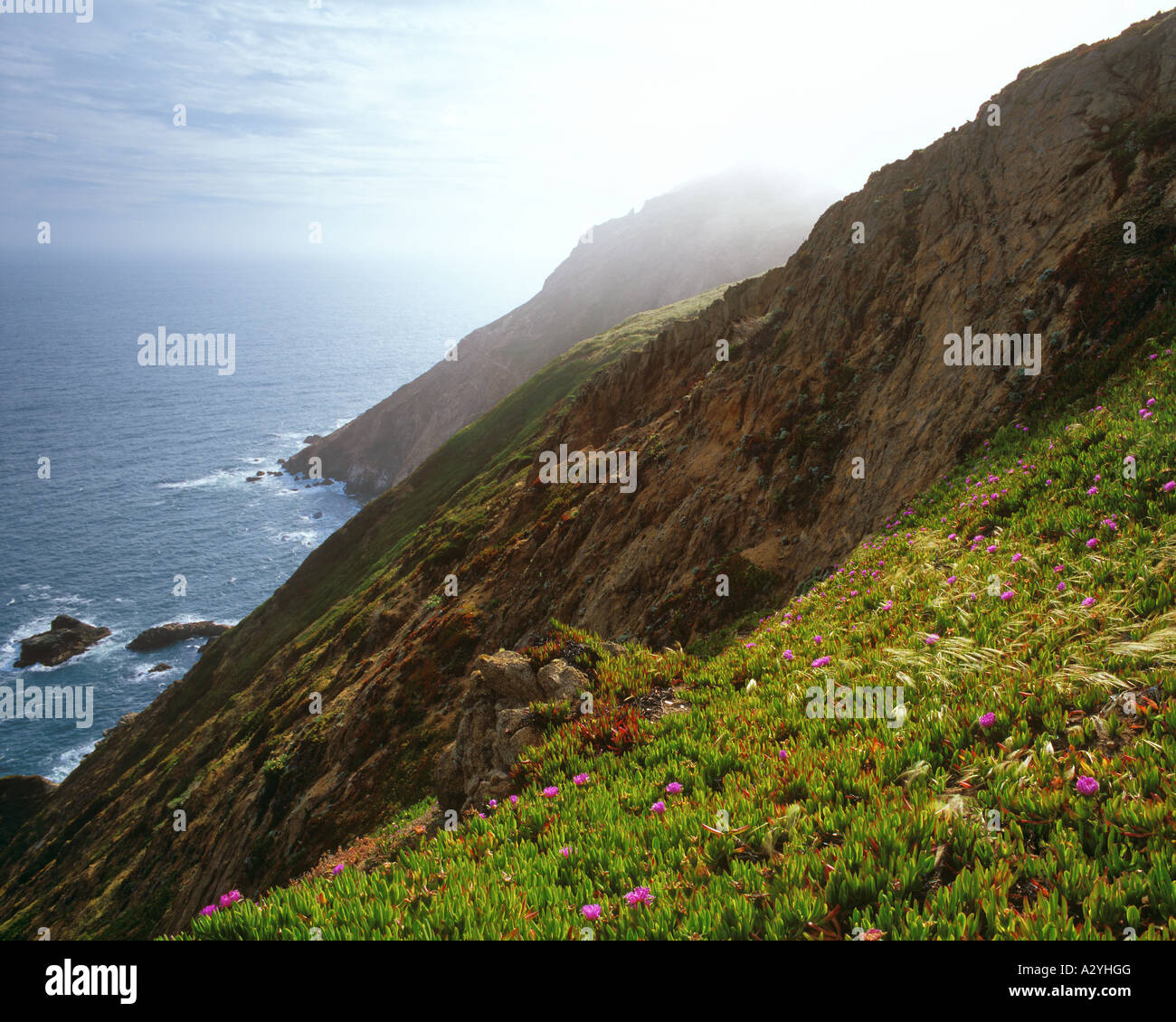 Bluff lettuce cliffs and sea with fog Stock Photo