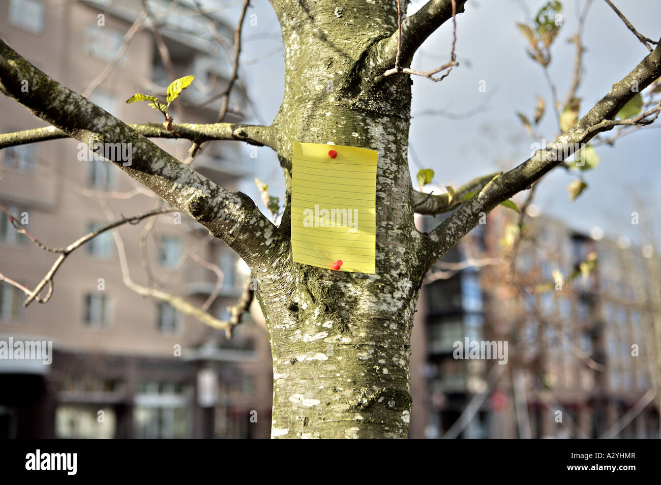 note blank sign post it Stock Photo - Alamy
