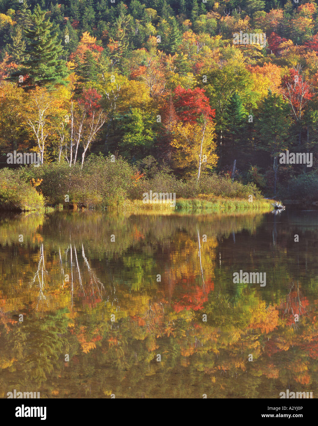 Willey pond hi-res stock photography and images - Alamy