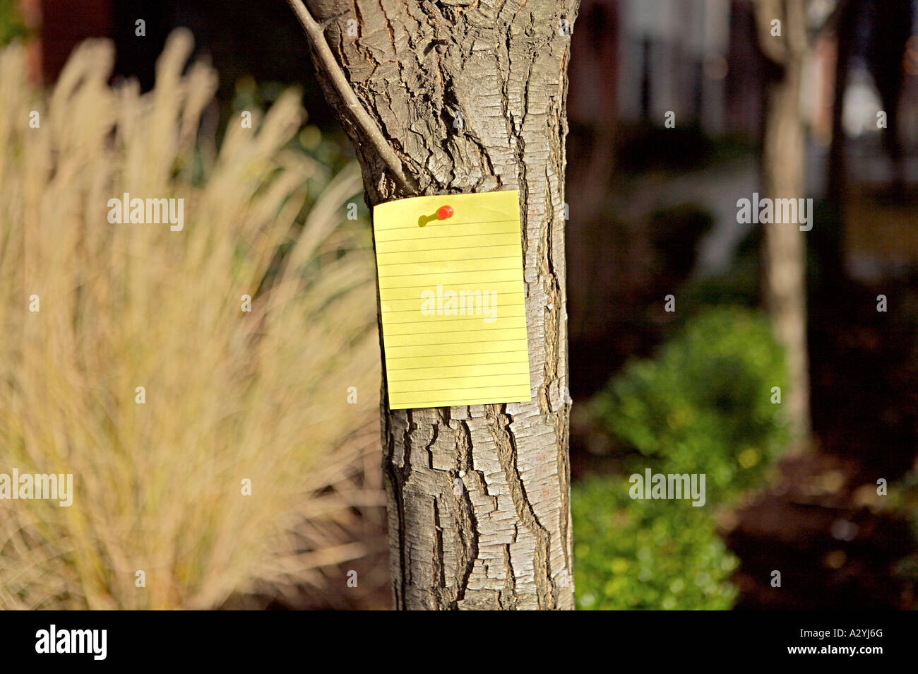 Note On Sign Post note blank sign post it Stock Photo - Alamy