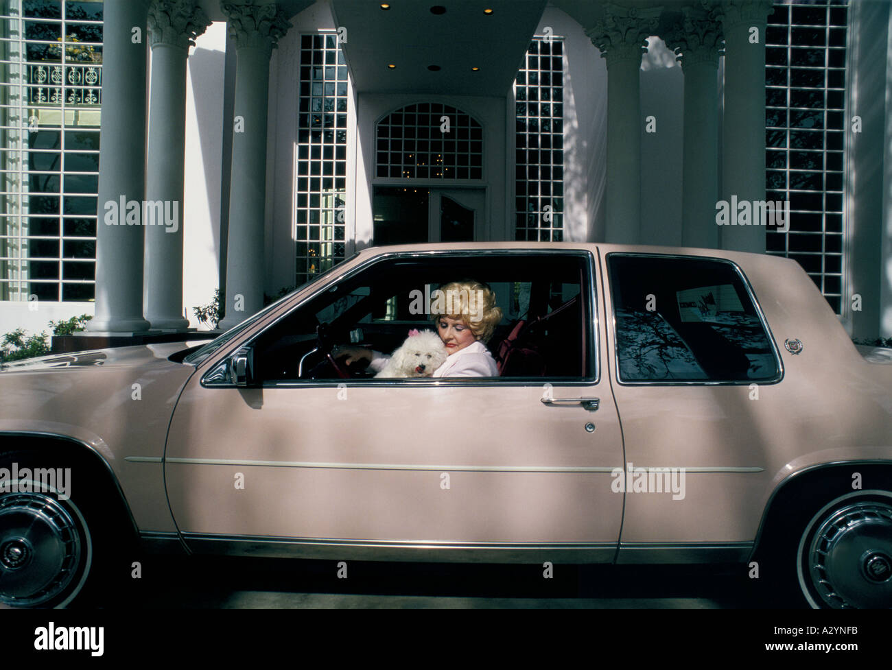 Mary Kay Ash In Car With Her Dog Gigi At Home In Dallas Stock Photo Alamy
