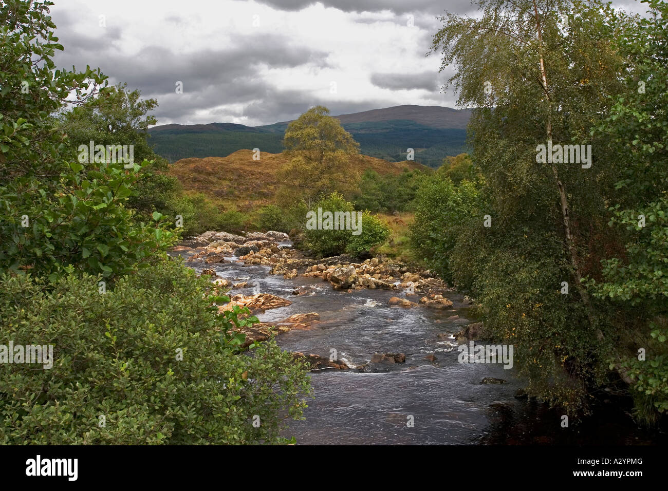 Fast flowing stream in Scottish landscape near Loch Garry, Garrygualach, Invergarry, Scotand, UK Stock Photo