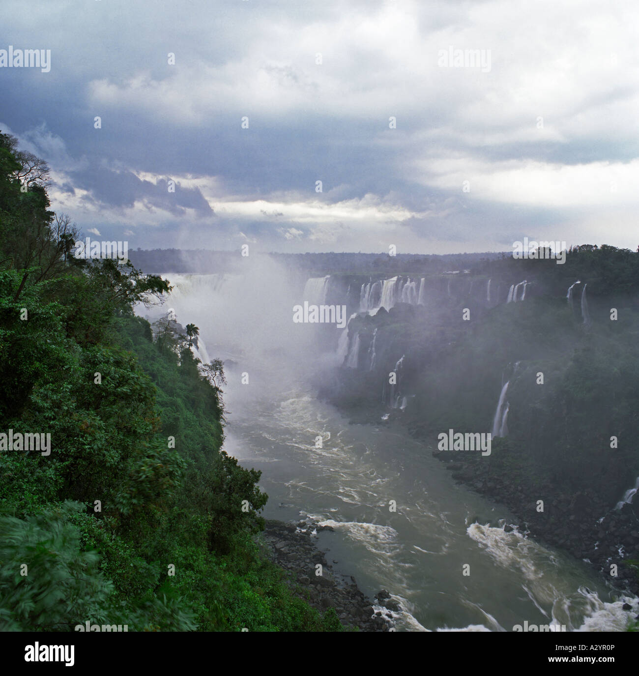 My Image 8