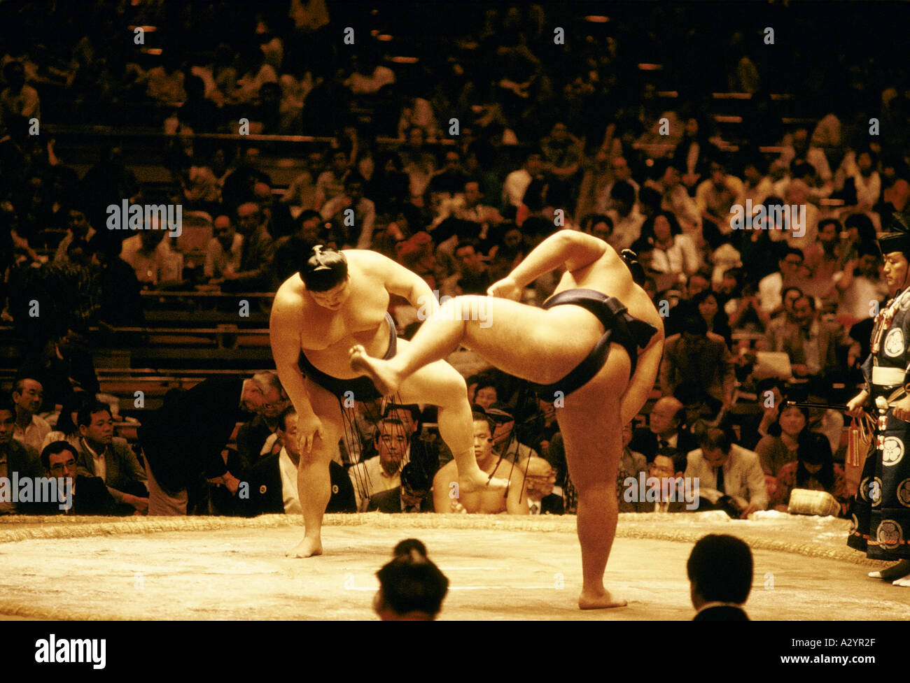Referee watches as sumo wrestlers prepare to fight japan Stock Photo