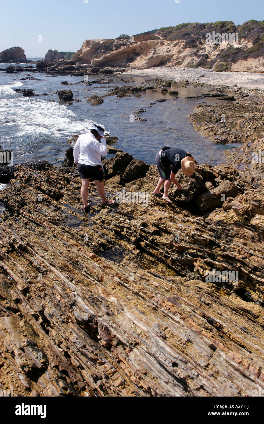 rock layers limestone Crystal Cove state park Los Angeles California