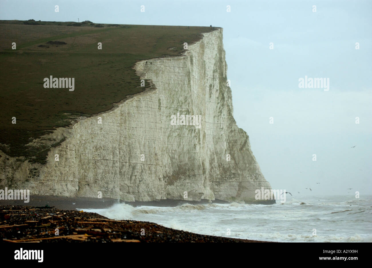The chalk cliffs at Cuckmere Haven in the Seven Sisters Country Park in East Sussex UK Stock Photo