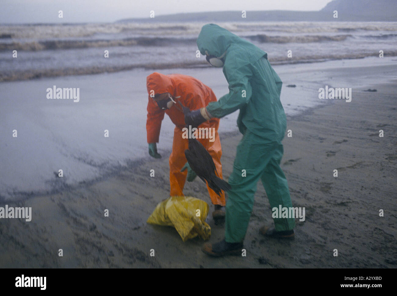 shetland 1993 braer oil tanker disaster Stock Photo Alamy