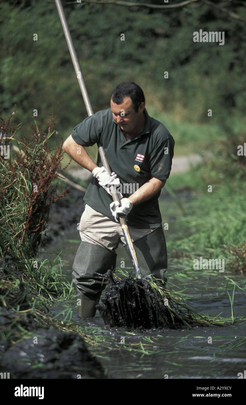 To clear pond weed hires stock photography and images Alamy