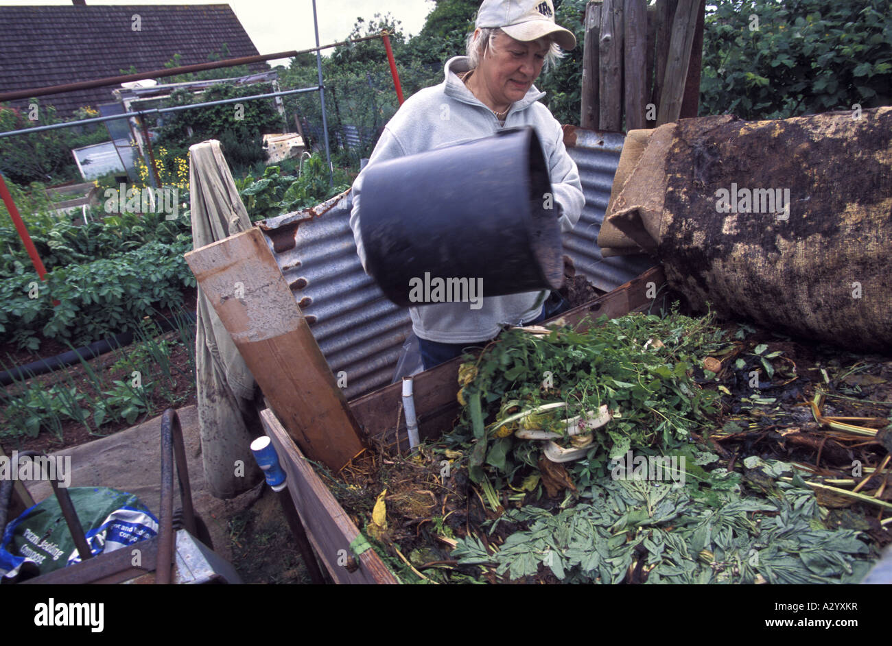 A woman puts organic waste onto a compost heap on her allotment in Exeter South Devon England Stock Photo
