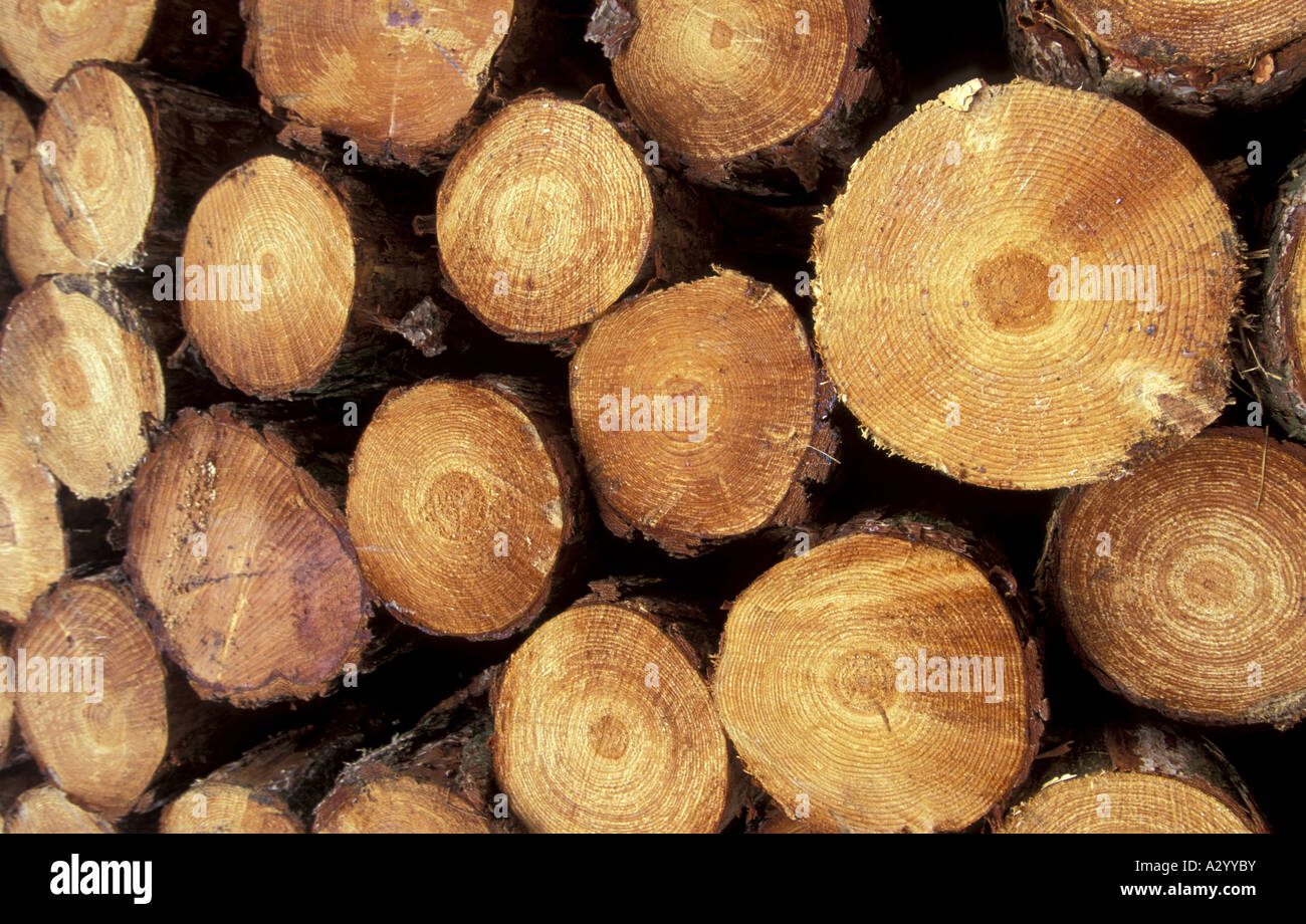 Softwood hires stock photography and images Alamy
