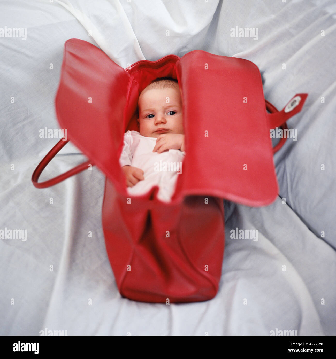 Baby in handbag Stock Photo Alamy