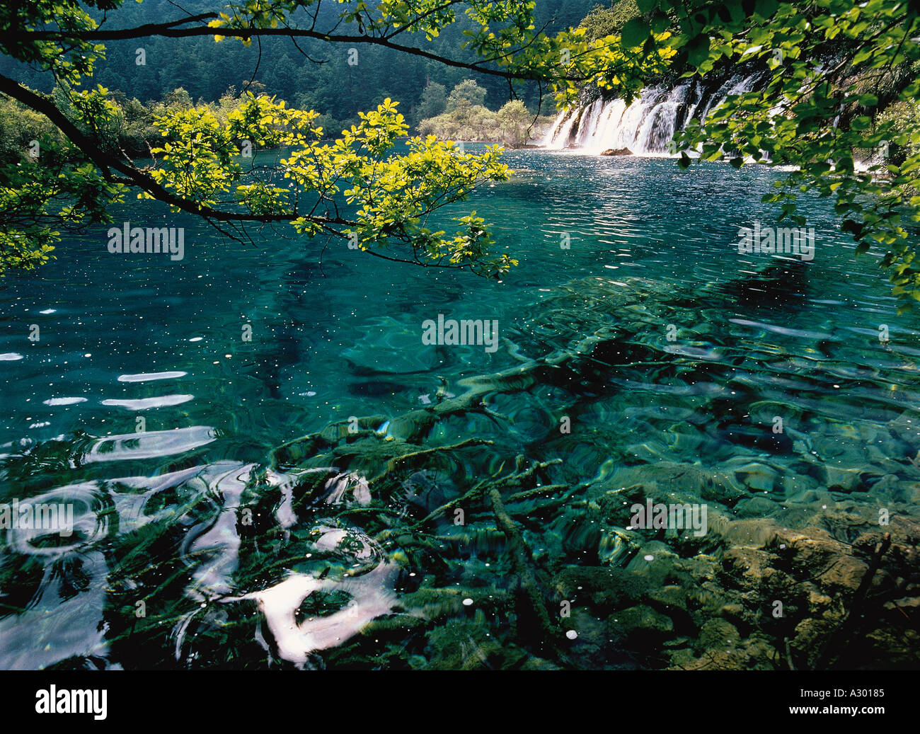 Jiu Zhai Gou Si Chuan China Stock Photo
